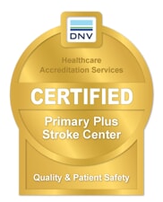 Dnv Certification Mark Primary Plus Stroke[1]